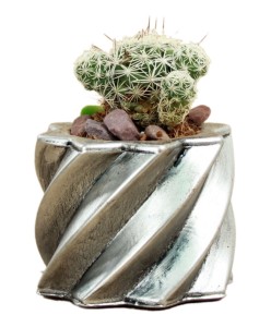 Mini Çiçek Saksı Küçük Sukulent Gümüş Eskitme Kaktüs Saksısı Kalın Çizgili Yıldız Model